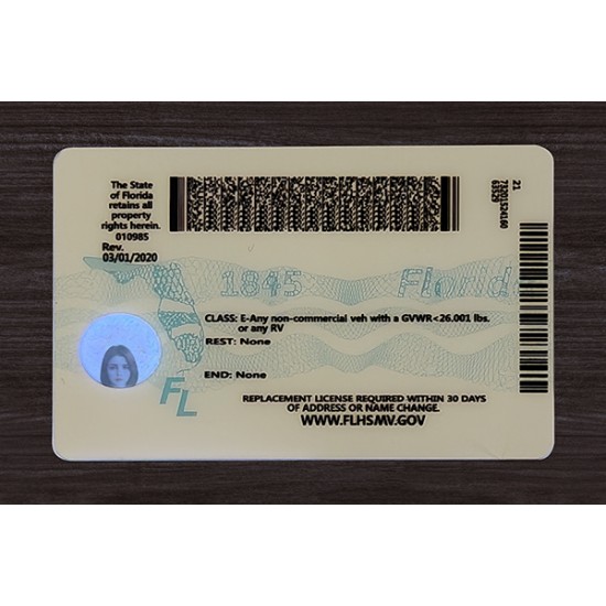 Florida (FL) Fake ID
